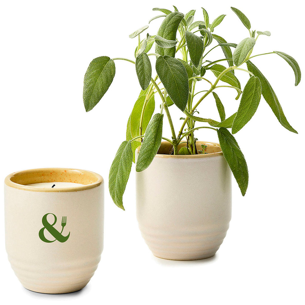 Modern Sprout Golden Moments/Sage Garden Vibes Candle/Planter