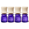 Lifelines Essential Oil Blends 4 Pack - In Bloom