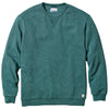 Color Teal