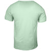 Threadfast Apparel Epic Unisex Mint Green T-Shirt