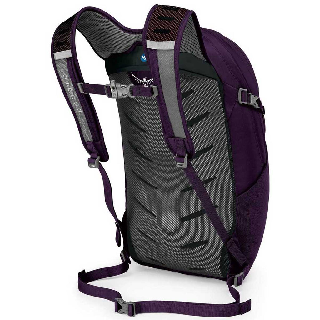 Osprey Amulet Purple Daylite Plus Pack