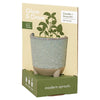 Modern Sprout Blue Green Herb Garden with Basil Seeds Glow & Grow Live Well Gift Set