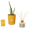 Modern Sprout Find Balance Find Balance Take Care Kit - Aloe