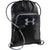 Under Armour Black Exeter Sackpack