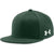 Under Armour Forest Green Closer Cap