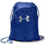 Under Armour Royal Undeniable 2.0 Sackpack