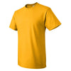 Fruit of the Loom Men's Gold HD Cotton Short Sleeve T-Shirt