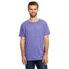 Hanes Men's Grape Triblend X-Temp Triblend T-Shirt