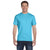 Hanes Men's Blue Horizon 6.1 oz. Beefy-T