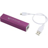 Leed's Purple Jolt 2200 mAh Power Bank