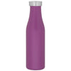 H2Go Matte Grape 16.9 oz Carina Stainless Steel Bottle