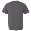 Champion Men's Charcoal Heather Originals Soft-Wash T-Shirt