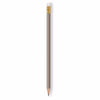 BIC Silver Pencil Solids