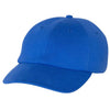 Champion Royal Jersey Knit Dad Cap