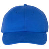 Champion Royal Jersey Knit Dad Cap