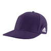 Color Purple