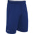 Under Armour Men's Royal Raid Shorts